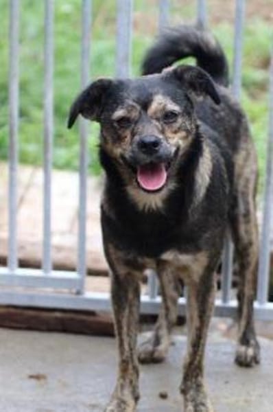 Babbit - verspielt u. aufgeweckt