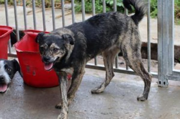 Babbit - verspielt u. aufgeweckt