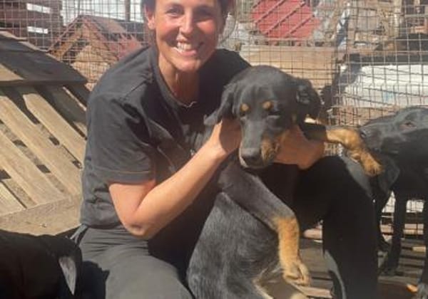 Wunderschöne Shey sucht ihr Zuhause!