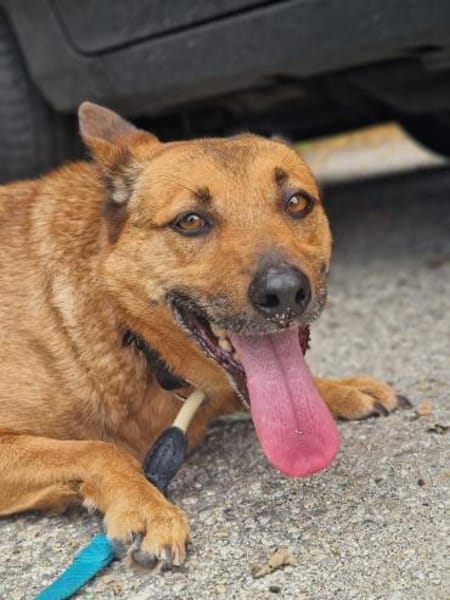 Emily🧡🧡🧡sucht Herzensmenschen