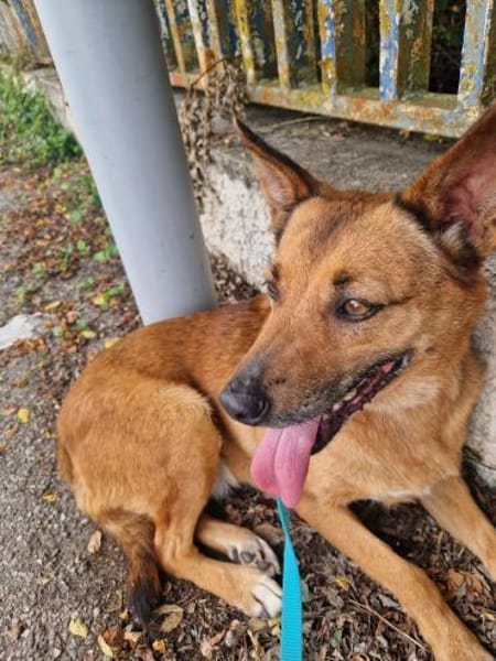 Emily🧡🧡🧡sucht Herzensmenschen