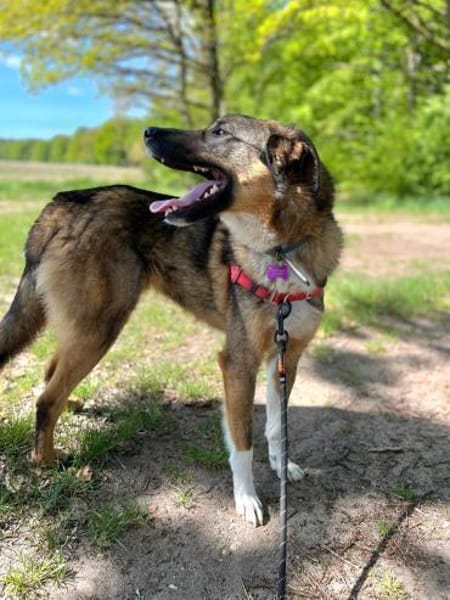 Lieber,sportlicher Mischa