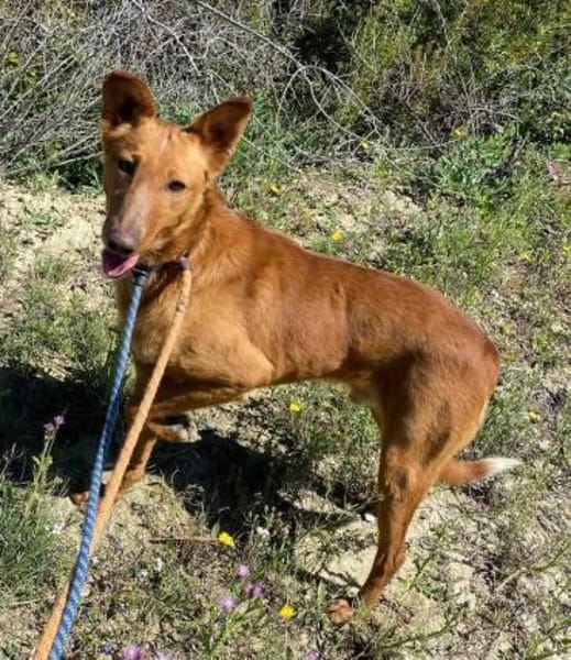 Mario 2 - lieb, sozial und sportlich