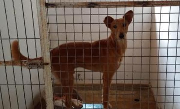 Mario 2 - lieb, sozial und sportlich