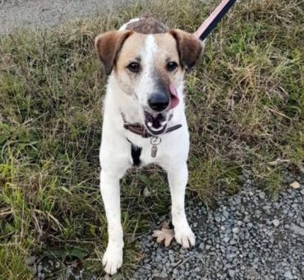 MIRKA sucht Zuneigung