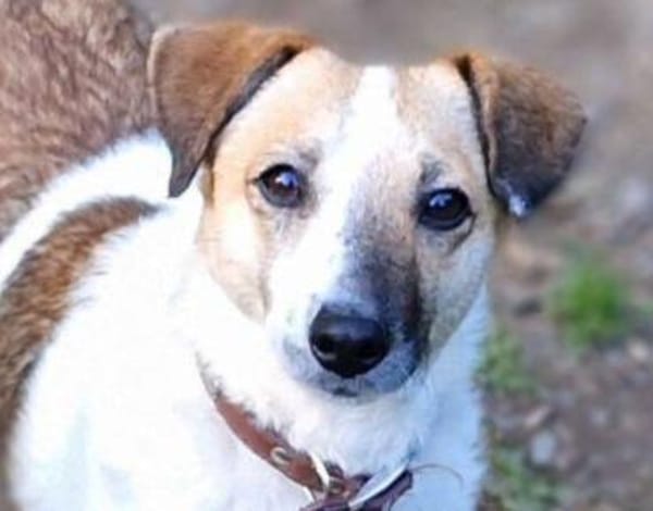 MIRKA sucht Zuneigung