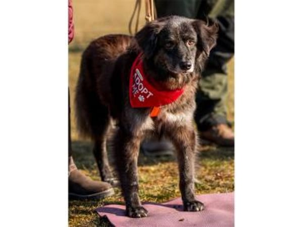 Mayli  wartet in 91611 Lehrberg