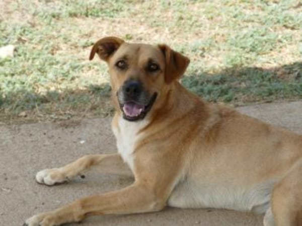 Elise möchte an Ihrem Leben teilhaben