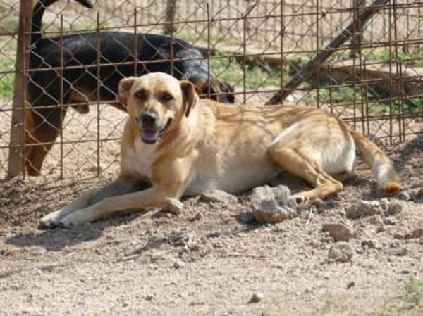 Elise möchte an Ihrem Leben teilhaben