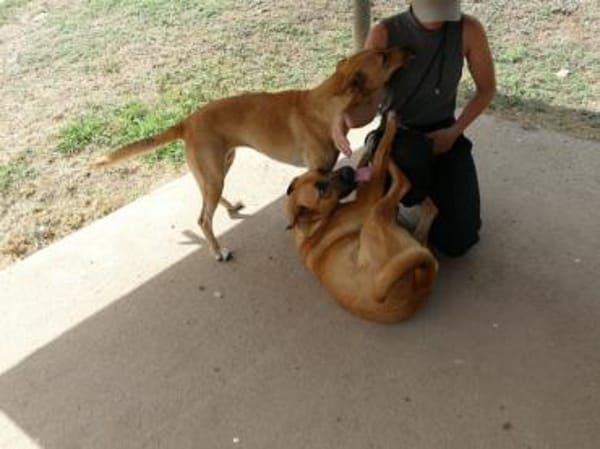 Elise möchte an Ihrem Leben teilhaben