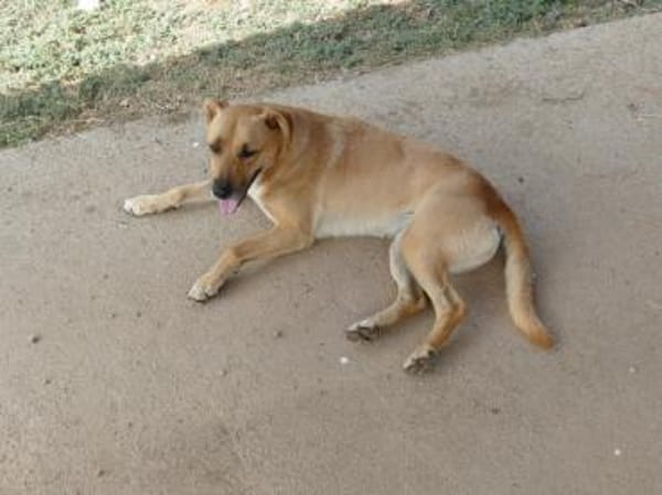 Elise möchte an Ihrem Leben teilhaben