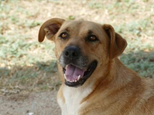 Elise möchte an Ihrem Leben teilhaben