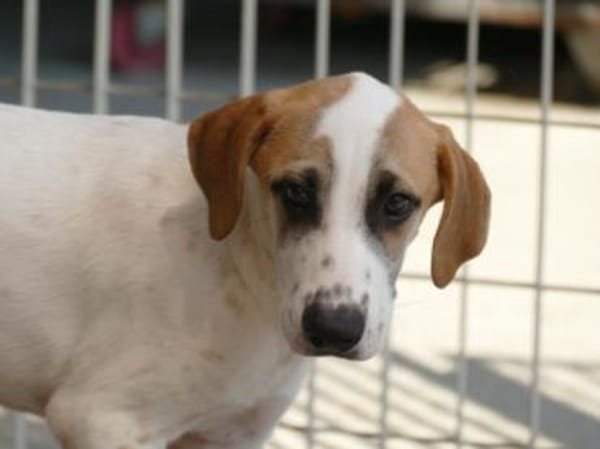 Saturno freut sich auf sein neues Leben