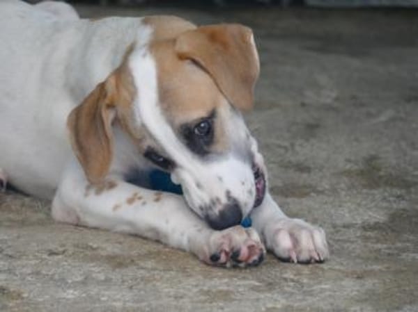 Saturno freut sich auf sein neues Leben