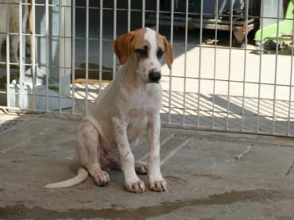 Saturno freut sich auf sein neues Leben