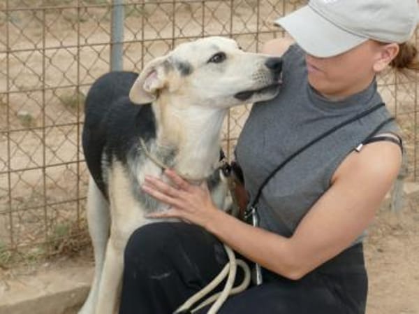 Schenken Sie Baco sein Traumzuhause?