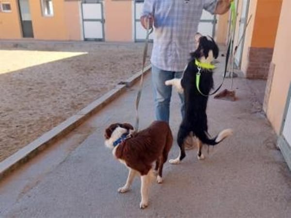 Vega sucht neuen Wirkungskreis