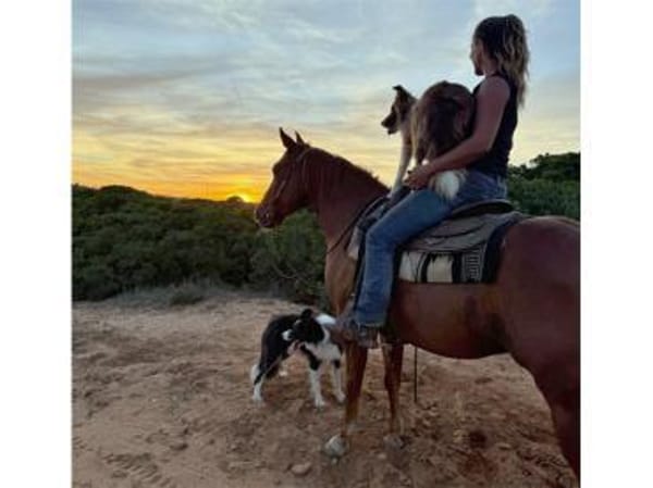 Vega sucht neuen Wirkungskreis