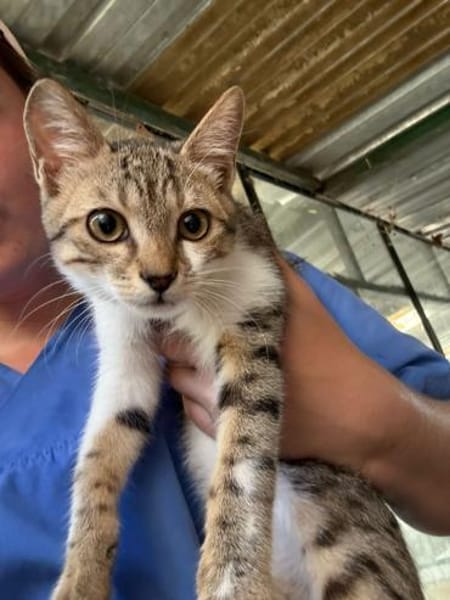 Jim Knopf sucht seinen Lukas