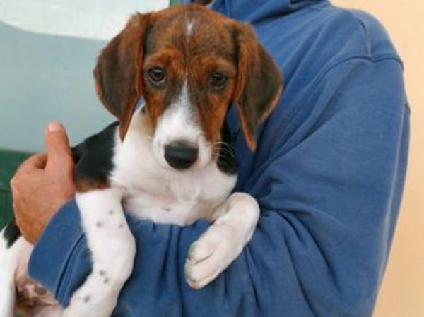 Smirna möchte gefördert werden