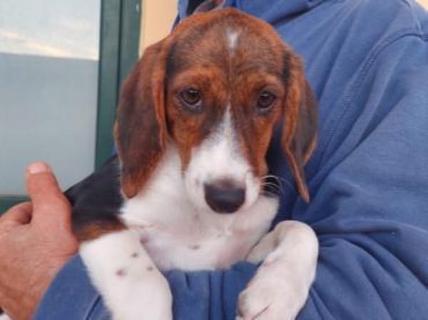 Smirna möchte gefördert werden