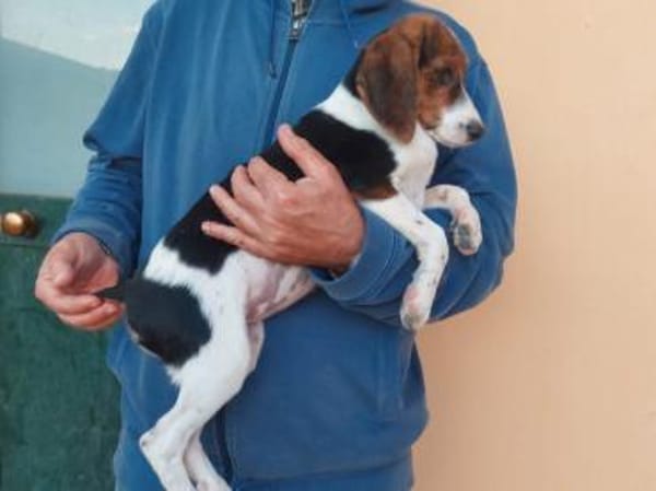 Smirna möchte gefördert werden