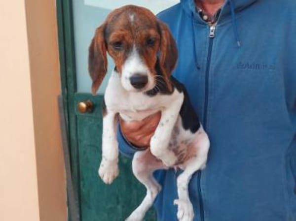 Smirna möchte gefördert werden