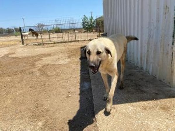 Fikret wartet schon lange