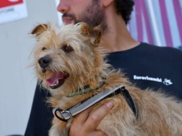 Carotino sucht engen Familienanschluss