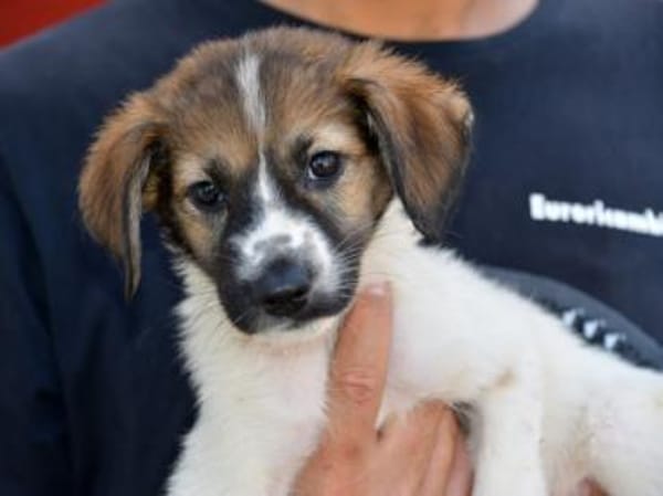 Arianna wünscht sich Zuwendung