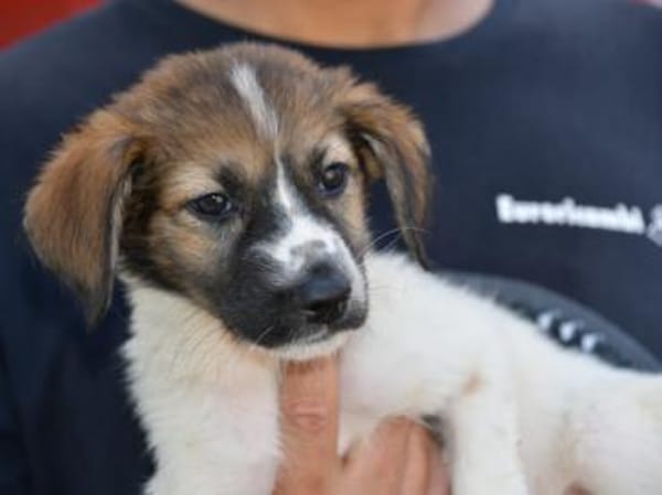 Arianna wünscht sich Zuwendung