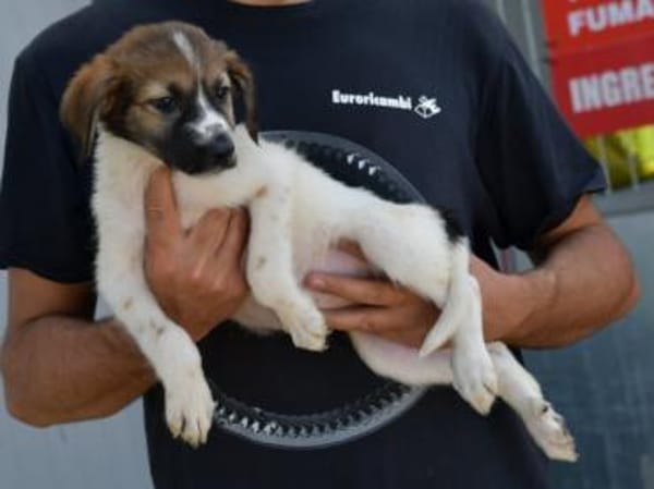 Arianna wünscht sich Zuwendung