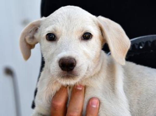 Agostina wünscht sich ein besseres Leben