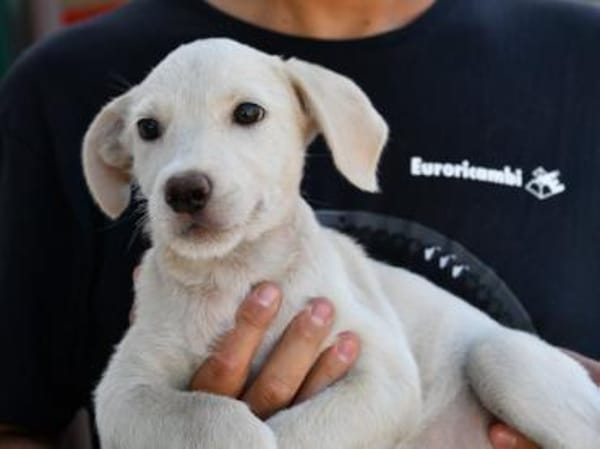 Agostina wünscht sich ein besseres Leben