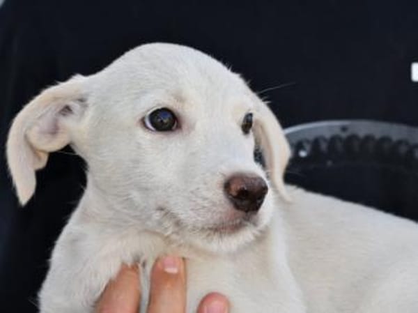 Agostina wünscht sich ein besseres Leben