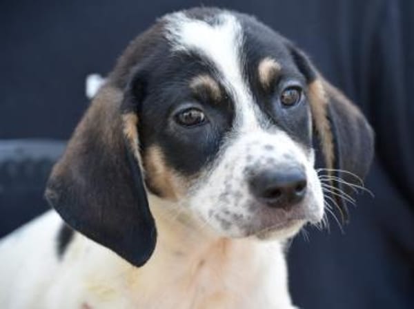 Holen Sie Anett zu sich?