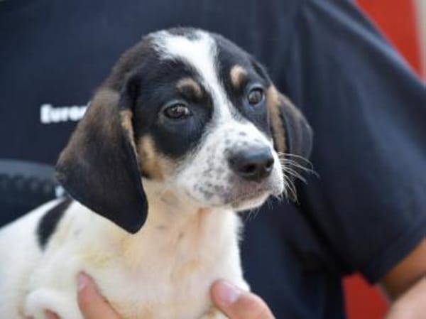 Holen Sie Anett zu sich?