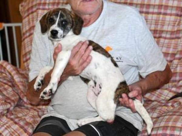 Dario wartet sehnsüchtig auf Sie