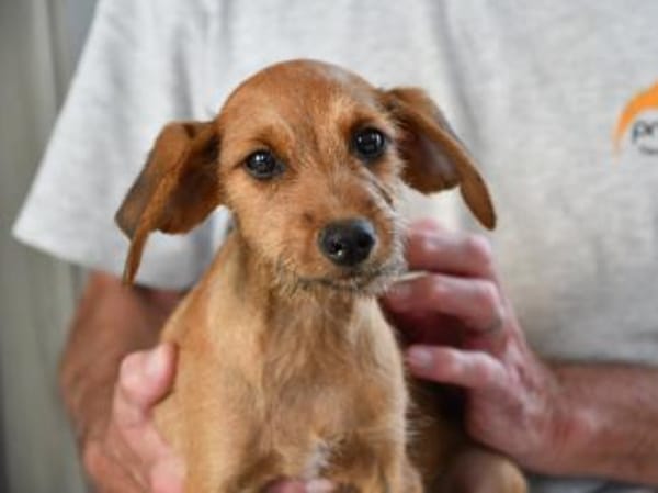 Alfio sucht sein Glück