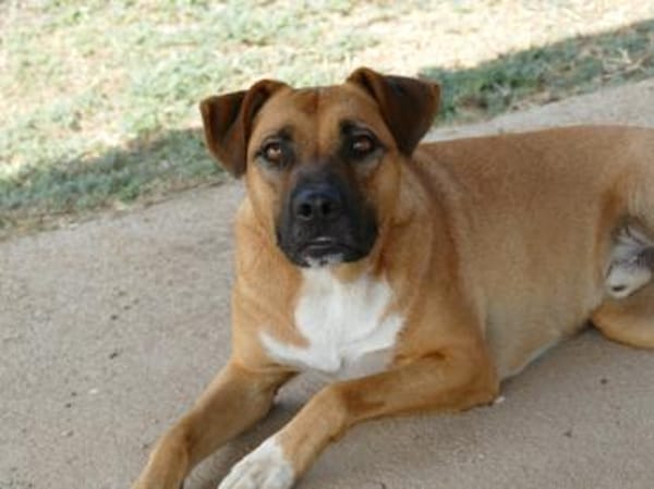 Evan sucht aktive Menschen