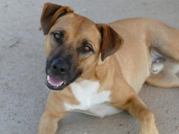 Evan sucht aktive Menschen