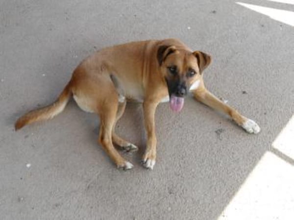 Evan sucht aktive Menschen