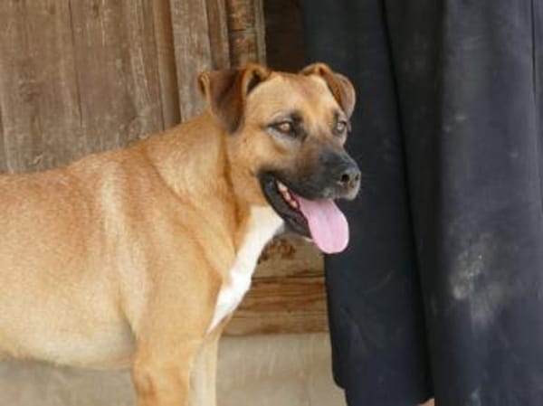 Evan sucht aktive Menschen