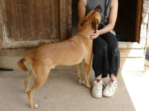 Evan sucht aktive Menschen