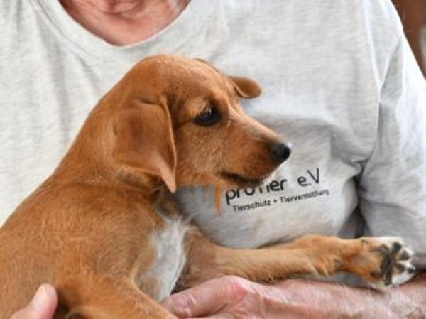 Alix freut sich auf Sie