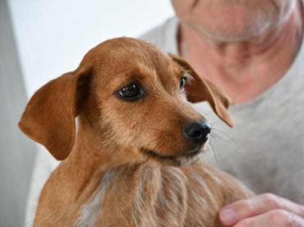 Alix freut sich auf Sie