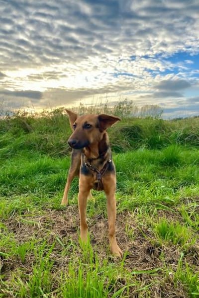 Treue Seele Rina, kinderlieb,sanft (E)