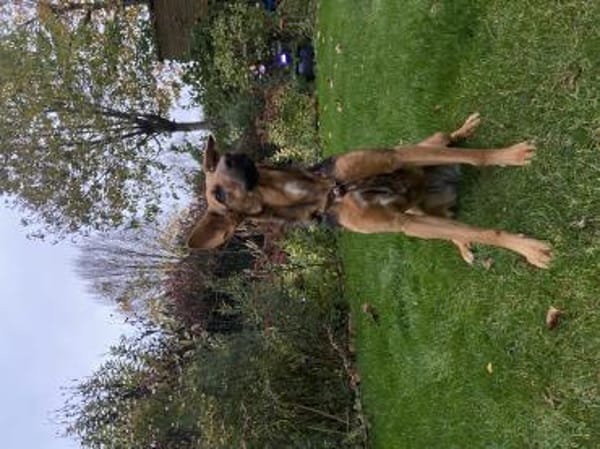 Treue Seele Rina, kinderlieb,sanft (E)