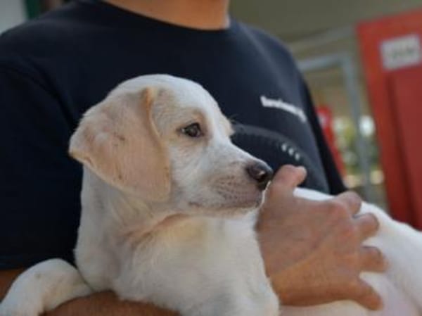Sophie wünscht sich ein besseres Leben