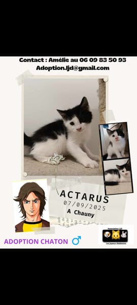 Actarus